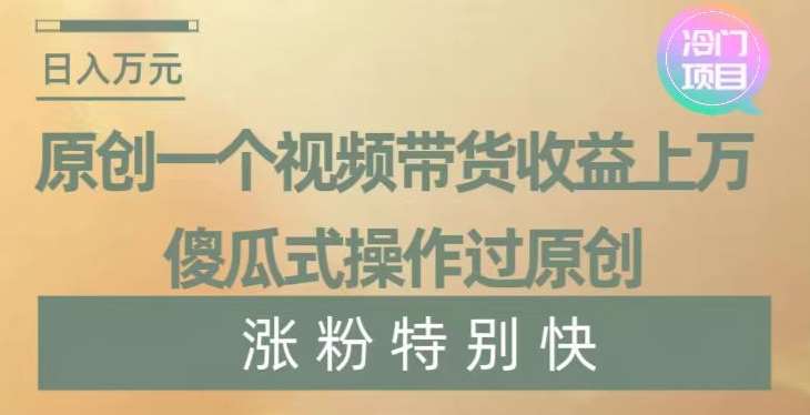 原创一个视频带货收益上万，傻瓜式操作过原创，几分钟做一个视频涨粉特别快【揭秘】-问小徐资源库