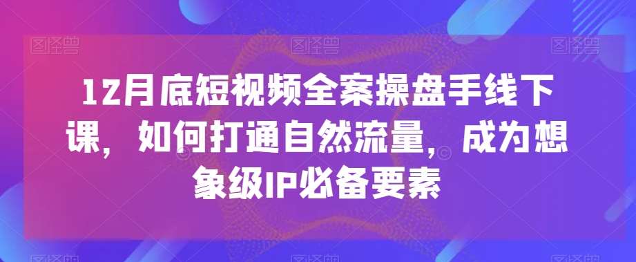 12月底短视频全案操盘手线下课，如何打通自然流量，成为想象级IP必备要素-问小徐资源库