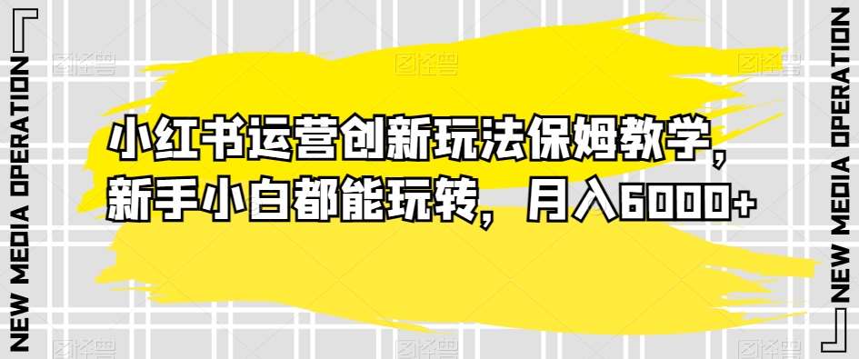 小红书运营创新玩法保姆教学，新手小白都能玩转，月入6000+【揭秘】-问小徐资源库