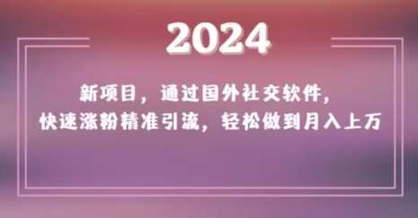 2024新项目，通过国外社交软件，快速涨粉精准引流，轻松做到月入上万【揭秘】-问小徐资源库