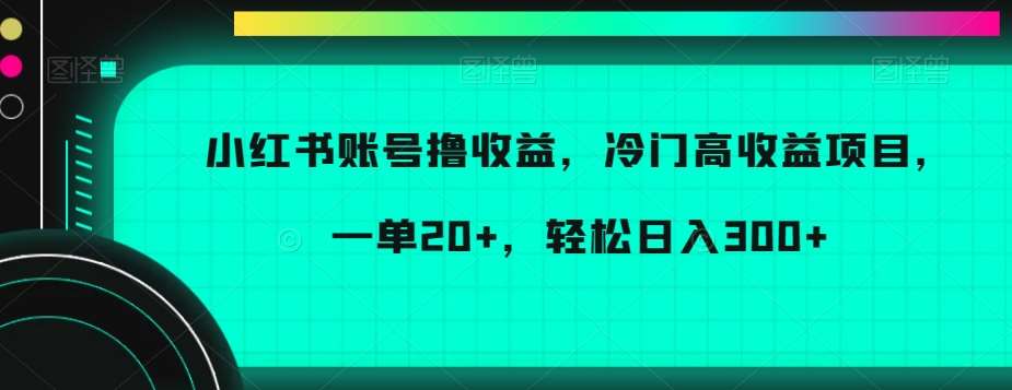 小红书账号撸收益，冷门高收益项目，一单20+，轻松日入300+【揭秘】-问小徐资源库