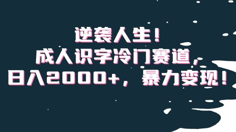 逆袭人生！成人识字冷门赛道，日入2000+，暴力变现！【揭秘】-问小徐资源库