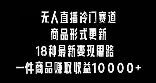 无人直播冷门赛道，商品形式更新，18种变现思路，一件商品赚取收益10000+【揭秘】-问小徐资源库