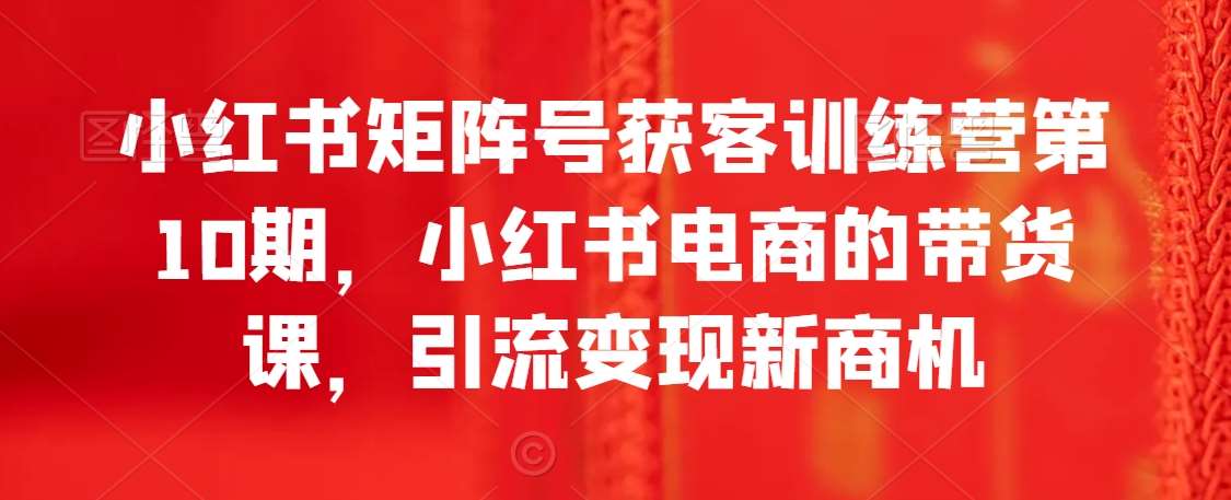 小红书矩阵号获客训练营第10期，小红书电商的带货课，引流变现新商机-问小徐资源库