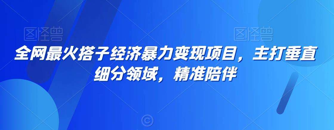 全网最火搭子经济暴力变现项目，主打垂直细分领域，精准陪伴【揭秘】-问小徐资源库