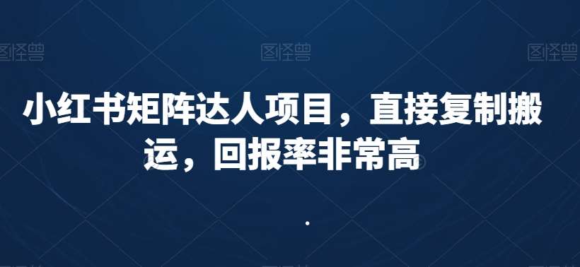 小红书矩阵达人项目，直接复制搬运，回报率非常高-问小徐资源库