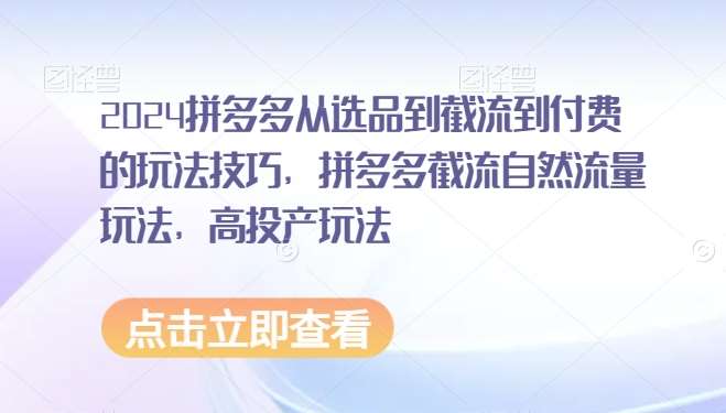 2024拼多多从选品到截流到付费的玩法技巧，拼多多截流自然流量玩法，高投产玩法-问小徐资源库