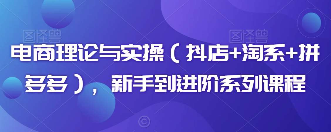 电商理论与实操（抖店+淘系+拼多多），新手到进阶系列课程-问小徐资源库