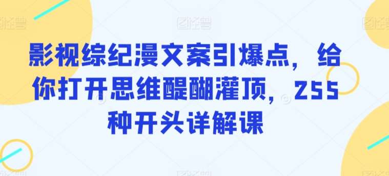 影视综纪漫文案引爆点，给你打开思维醍醐灌顶，255种开头详解课-问小徐资源库