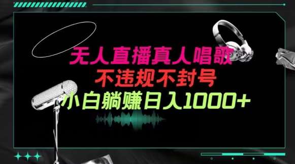 抖音24小时无人直播音乐，不违规，不封号纯撸音浪，小白实操当天日入1000+【揭秘】-问小徐资源库