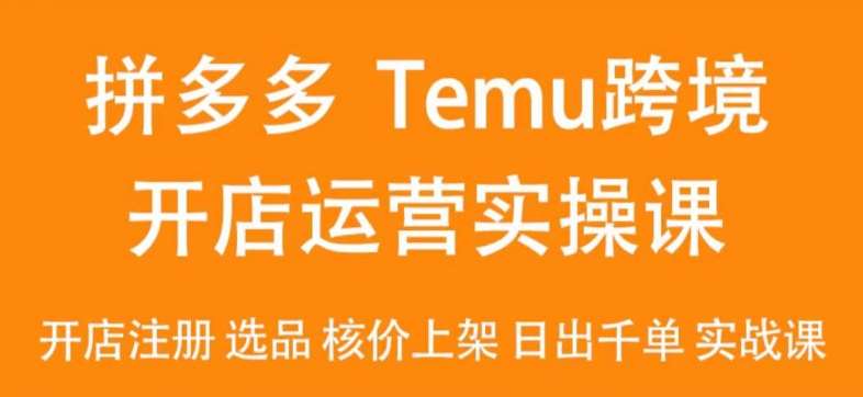 2024Temu最新玩法，Temu跨境开店运营实操课，开店注册/选品/核价上架/日出千单实战课-问小徐资源库