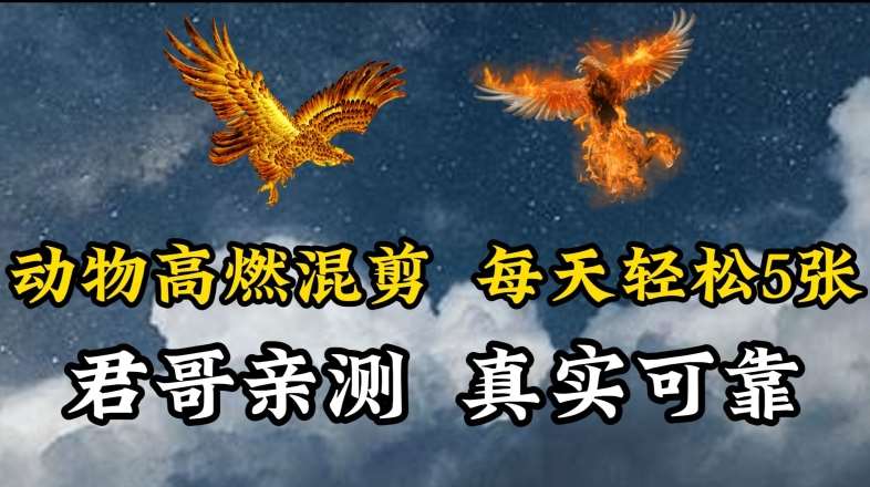 动物超燃混剪，每天轻松5张，剪辑简单大家爱看【揭秘】-问小徐资源库