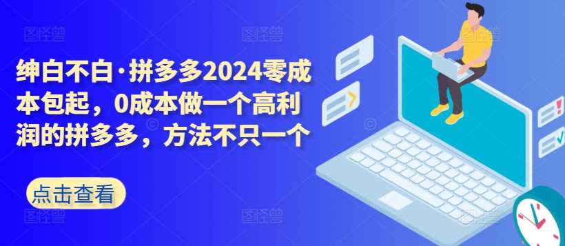 拼多多2024零成本包起，0成本做一个高利润的拼多多，方法不只一个-问小徐资源库