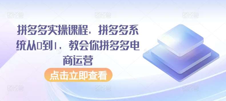 拼多多实操课程，拼多多系统从0到1，教会你拼多多电商运营-问小徐资源库