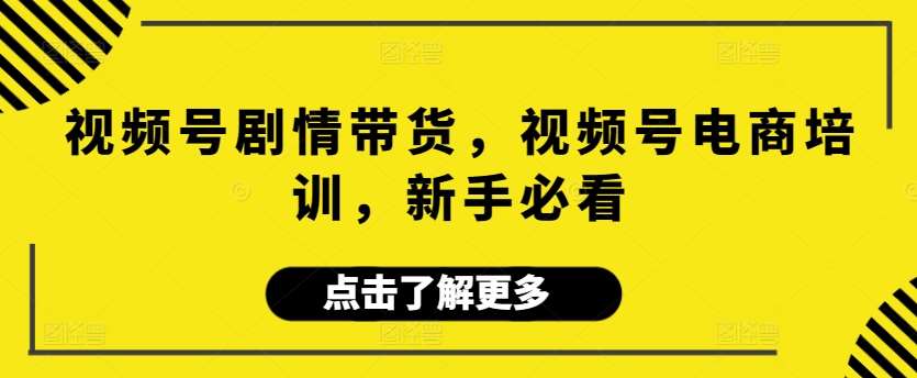 视频号剧情带货，视频号电商培训，新手必看-问小徐资源库