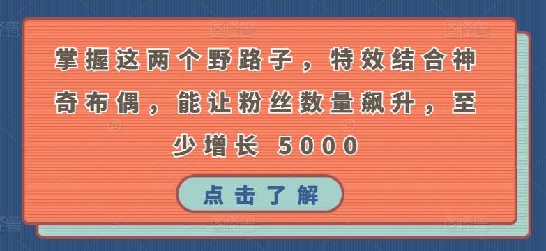掌握这两个野路子，特效结合神奇布偶，能让粉丝数量飙升，至少增长 5000【揭秘】-问小徐资源库
