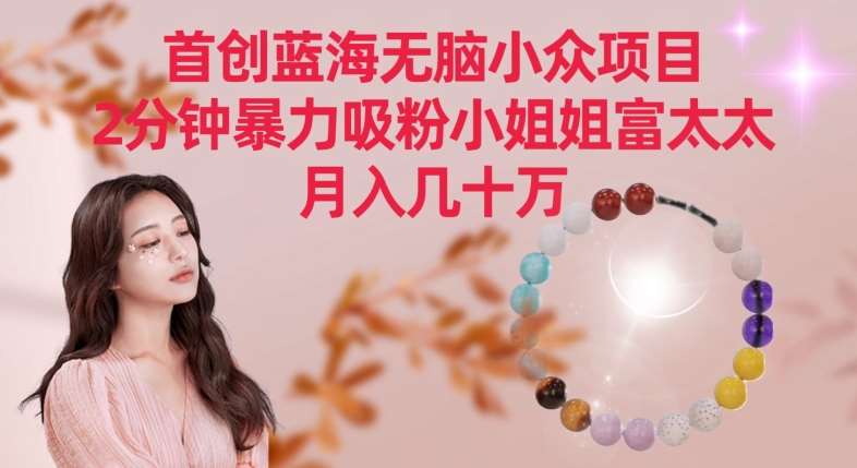 首创蓝海无脑小众项目，2分钟暴力吸粉小姐姐富太太，月入几十万【揭秘】-问小徐资源库