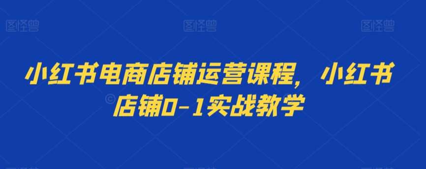 小红书电商店铺运营课程，小红书店铺0-1实战教学-问小徐资源库