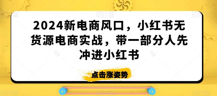 2024新电商风口，小红书无货源电商实战，带一部分人先冲进小红书-问小徐资源库