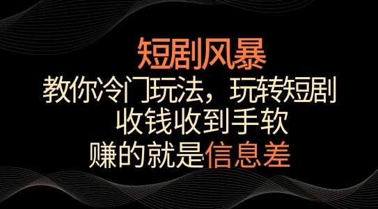 短剧风暴，教你冷门玩法，玩转短剧，收钱收到手软【揭秘】-问小徐资源库