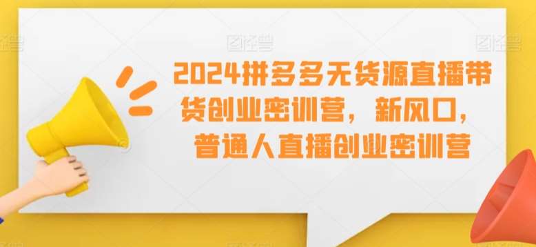 2024拼多多无货源直播带货创业密训营，新风口，普通人直播创业密训营-问小徐资源库