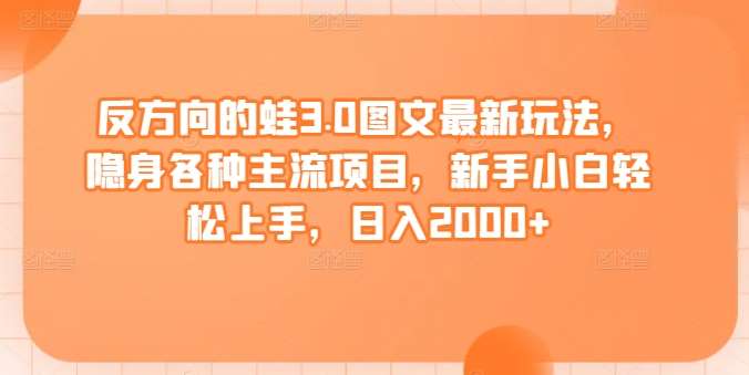 反方向的蛙3.0图文最新玩法，隐身各种主流项目，新手小白轻松上手，日入2000+【揭秘】-问小徐资源库