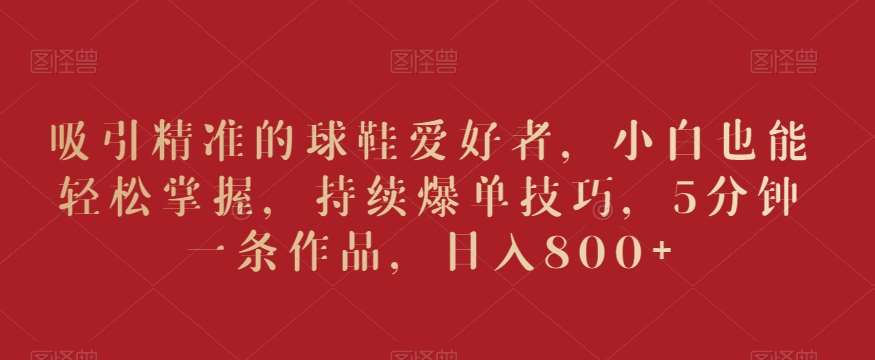 吸引精准的球鞋爱好者，小白也能轻松掌握，持续爆单技巧，5分钟一条作品，日入800+【揭秘】-问小徐资源库