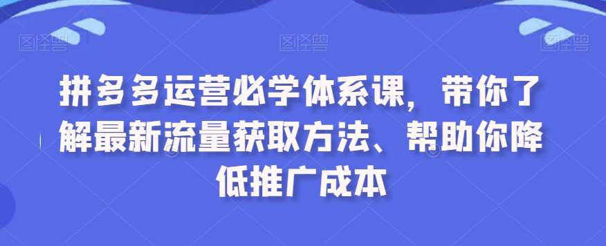 拼多多运营必学体系课，带你了解最新流量获取方法、帮助你降低推广成本-问小徐资源库