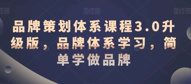 品牌策划体系课程3.0升级版，品牌体系学习，简单学做品牌-问小徐资源库