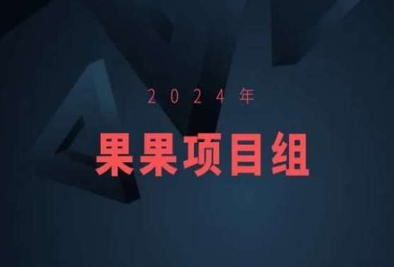 2024年果果项目组项目合集-果果最新项目-问小徐资源库