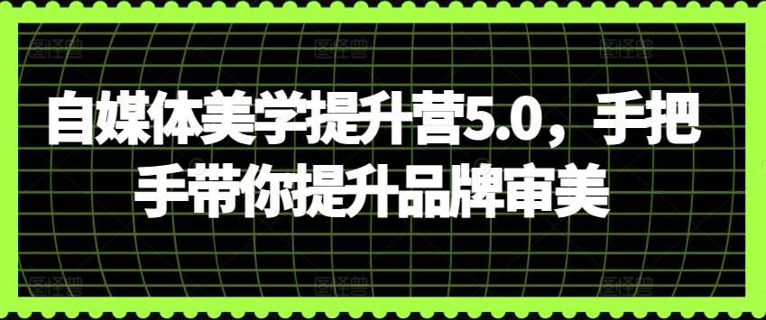 自媒体美学提升营5.0，手把手带你提升品牌审美-问小徐资源库