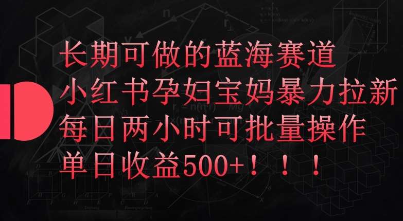长期可做的蓝海赛道，小红书孕妇宝妈暴力拉新玩法，每日两小时可批量操作，单日收益500+【揭秘】-问小徐资源库