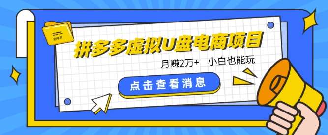 拼多多虚拟U盘电商红利项目：月赚2万+，新手小白也能玩-问小徐资源库