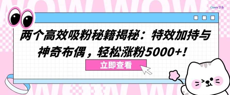 两个高效吸粉秘籍揭秘：特效加持与神奇布偶，轻松涨粉5000+【揭秘】-问小徐资源库