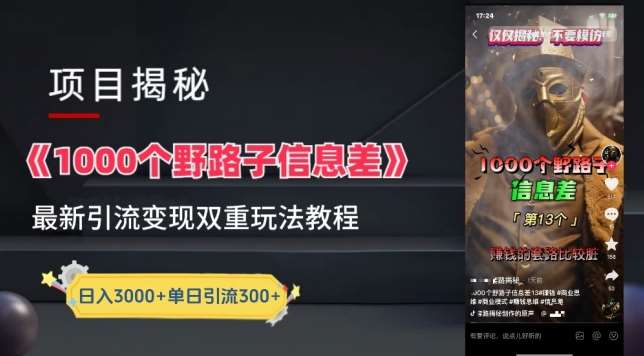 一千个野路子信息差最新玩法教程-变现+引流的玩法具体拆解【揭秘】-问小徐资源库
