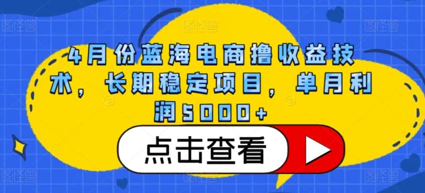 4月份蓝海电商撸收益技术，长期稳定项目，单月利润5000+【揭秘】-问小徐资源库
