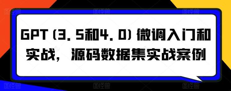 GPT(3.5和4.0)微调入门和实战，源码数据集实战案例-问小徐资源库