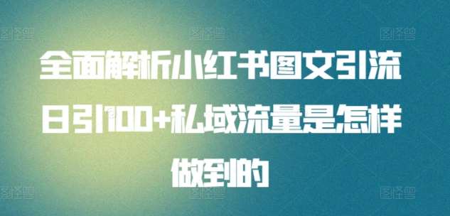 全面解析小红书图文引流日引100+私域流量是怎样做到的【揭秘】-问小徐资源库