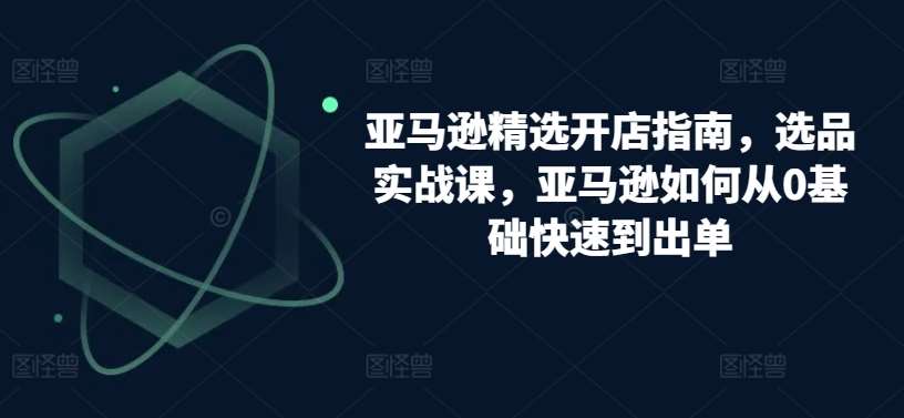 亚马逊精选开店指南，选品实战课，亚马逊如何从0基础快速到出单-问小徐资源库