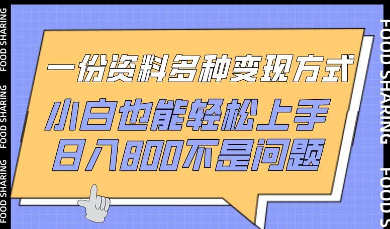 一份资料多种变现方式，小白也能轻松上手，日入800不是问题【揭秘】-问小徐资源库