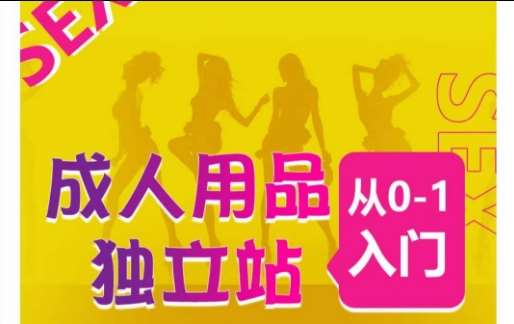 成人用品独立站从0-1入门，成品独立站运营全流程教学，七大好卖成品独立站推荐-问小徐资源库