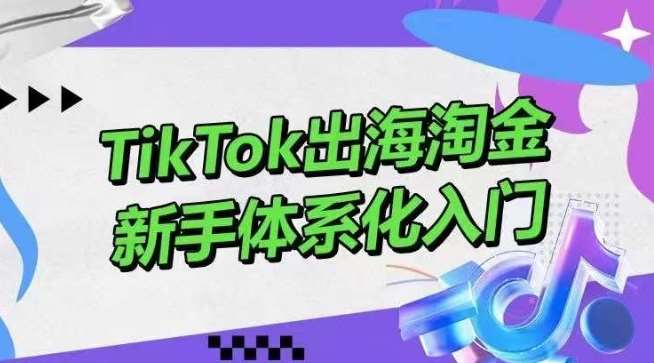 TikTok出海淘金，新手体系化入门，零基础快速入门，掌握短视频、直播带货等引流到变现的知识-问小徐资源库