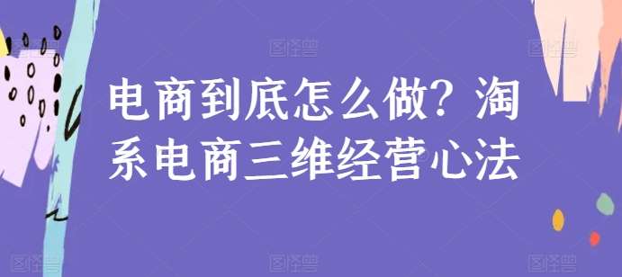电商到底怎么做？淘系电商三维经营心法-问小徐资源库