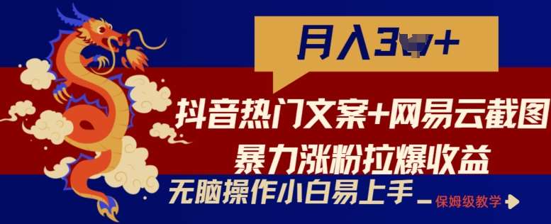 抖音热门文案+网易云截图暴力涨粉拉爆收益玩法，小白无脑操作，简单易上手【揭秘】-问小徐资源库