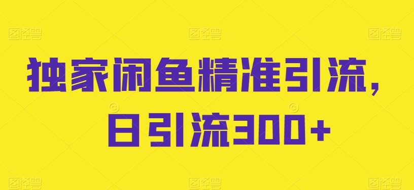 独家闲鱼精准引流，日引流300+【揭秘】-问小徐资源库