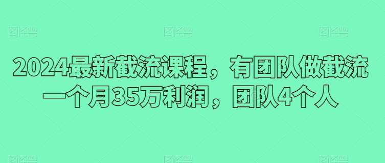 2024最新截流课程，有团队做截流一个月35万利润，团队4个人-问小徐资源库