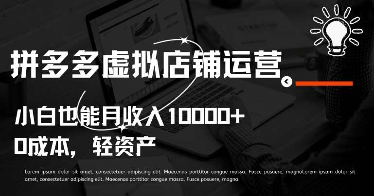 拼多多虚拟店铺运营小白也能月收入10000+【揭秘】-问小徐资源库
