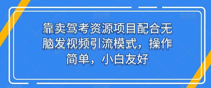 靠卖驾考资源项目配合无脑发视频引流模式，操作简单，小白友好【揭秘】-问小徐资源库