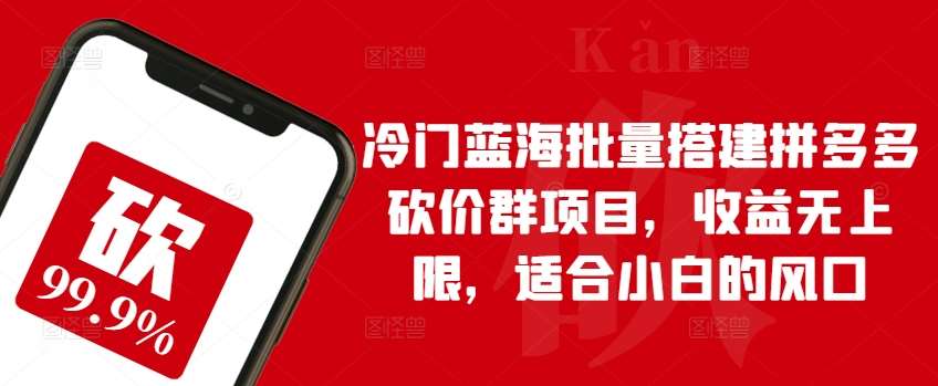冷门蓝海批量搭建拼多多砍价群项目，收益无上限，适合小白的风口【揭秘】-问小徐资源库