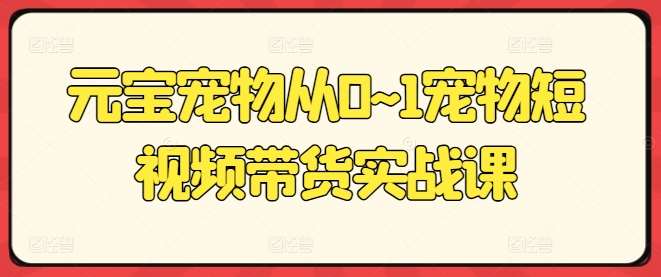 元宝宠物从0~1宠物短视频带货实战课-问小徐资源库